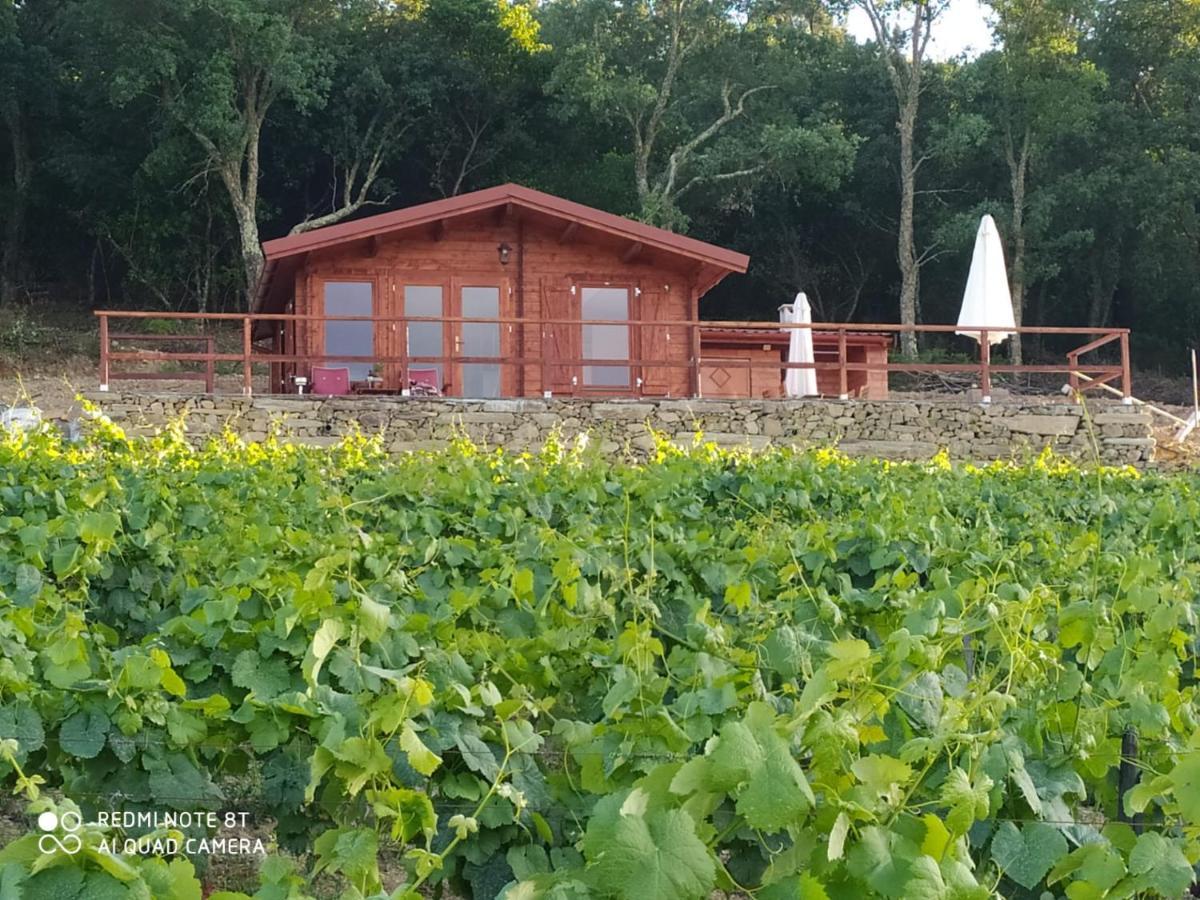 Casa Das Vinhas Velhas By Casa Do Poco 比索达雷加 外观 照片